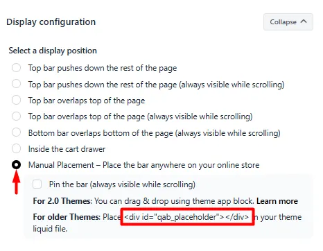 Display Position section with Manual Placement selected and the placeholder code snippet to copy