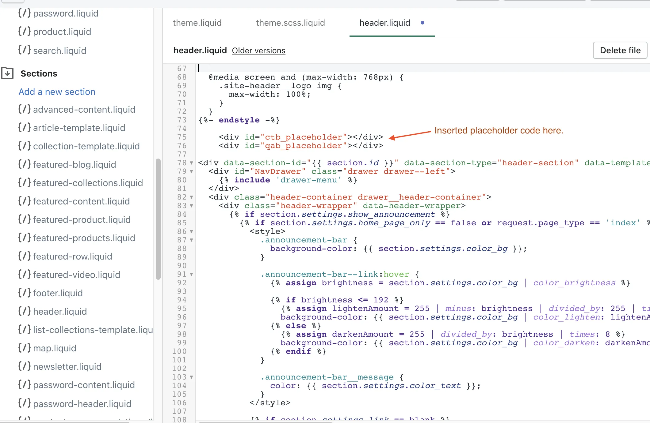Placeholder code inserted in header.liquid after endstyle tags and before div tags