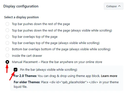 Display Position section with Manual Placement selected and Pin the Bar option