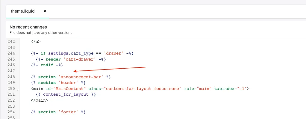 Top of the page area in theme.liquid showing where to insert the code